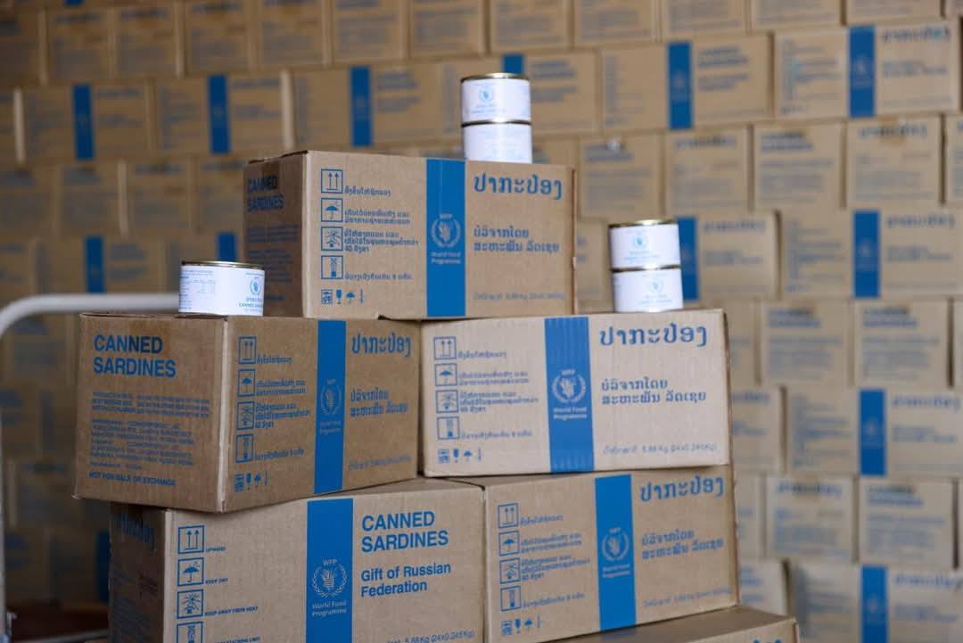 492356590 1230061609121645 4978601526236760832 n